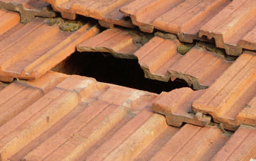 roof repair Belchamp St Paul, Essex