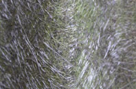 Belchamp St Paul fibreglass roof work